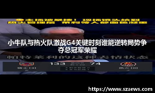 小牛队与热火队激战G4关键时刻谁能逆转局势争夺总冠军荣耀
